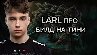 ЛАРЛ ПРО БИЛД НА ТИНИ