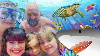 A Family boat trip into the REDSEA - Egypt Hurghada