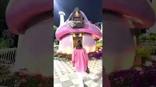 Сад Чудес в Дубае
