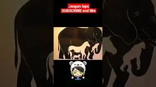 tebak gambar fokus