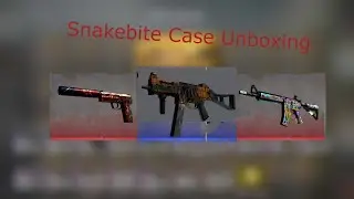 Snakebite Case Unboxing