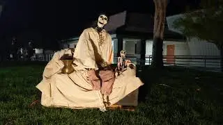 Skeleton Pirate - Pirates life for me