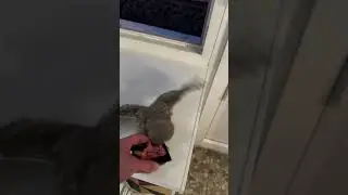 Ты перепутал