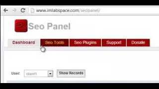 Seo panel site auditor