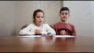 Yaşam Çipi