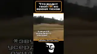 SC memes pt 45 #сталкрафт #мемы #stalcraft  #exbo