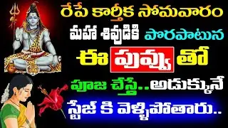 రేపే కార్తీక సోమవారం మహా శివుడికి పొరపాటున ఈ పువ్వుతో పూజ చేస్తే అడుక్కుతినే స్టేజ్ కి వెళ్ళిపోతారు