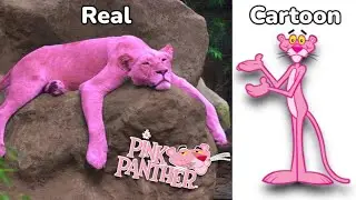Pink Panther and Pals Characters in real life 💥