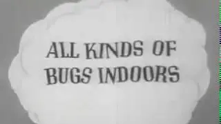 1950's - 60's Vintage Collection of TV Commercials Compilation Pt 3