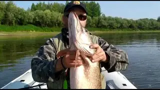 Щуки монстры! Рыбалка на реке Лозьва