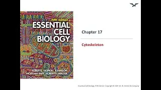 Cytoskeleton Part I