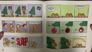 VHS and DVD Suprise Video + Garfield 🐈 Book Update for 8/26/24