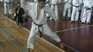 Kawasaki Norio sensei.  Ukraine 2006, seminar