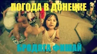 Бродяга Фишай - Погода в Донецке