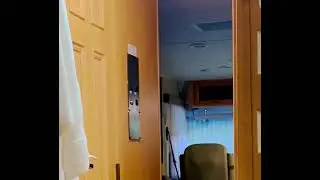 Talking Husky