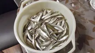 Рыбалка в Приморье. Озеро Ливадийское. 15.01.2018 г.
