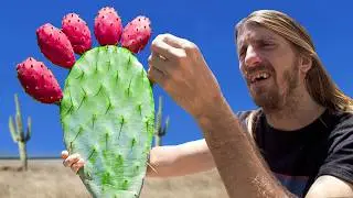 Urban Foraging The BEST Desert Treats…But NOBODY Wants Them