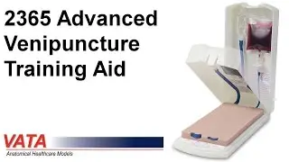2365 Advanced Venipuncture Training Aid™