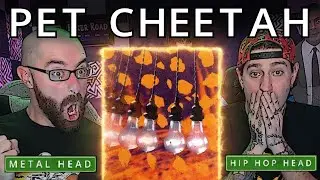 THE BOYS ARE BACK! | PET CHEETAH | TWENTY ONE PILOTS