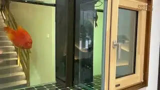 Fish Tank & Window - Watertight Test Chamber