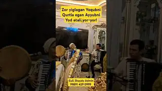 Guli Shaydo Admin 99891 429 0999 #love #live #music #shorts #short #shortvideo #shortsvideo #rek