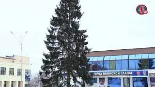 Новогодняя ель в Малоярославце 2017