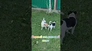 Джек стал настоящим мужчиной