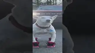 Лень делать видео с тиктока возьму 