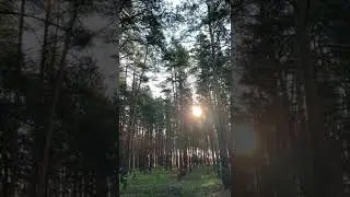 Утро