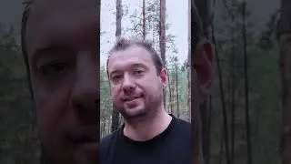 Сказ о том, как совы стаями на юг летят.