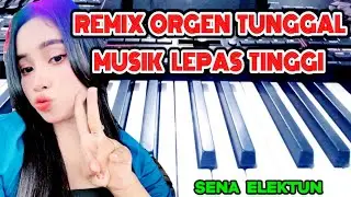 REMIX ORGEN TUNGGAL || MUSIK LEPAS TINGGI
