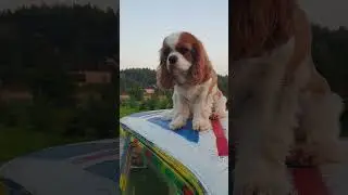 Текилла. Всегда на высоте!!!!!