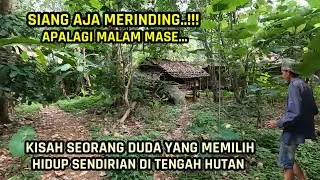 Berpisah Sama Istri !! Saya Memilih Tinggal Sendirian Di Rumah Tengah Hutan.
