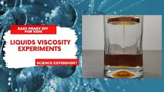 Viscosity of liquids | Science experiment | Easy Peasy DIY For Kids