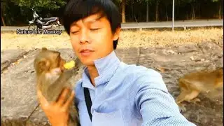Cute monkey Lucas say thank PaPa Song for Yummy Jackfruit, Lucas happy much with his food
