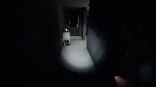 best Phasmophobia jump scare ever !