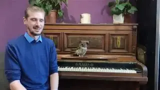 #4 История маленькой совы или откуда же берутся домашние совы.