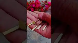 Bougainvilla Plant Multiple Grafting #shorts #bougainvillea  #grafting