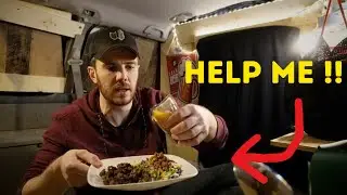 Mini Van Stealth Camping  ( COMPLETE FAILURE !!! )