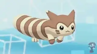 Canción de Furret ( cancion caminar ) 1 hora ⭐