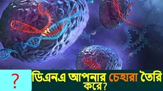 ডিএনএ কোথায় থাকে? | What does DNA mean??