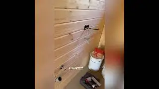 @tanstroi строим скандинавские дома в Перми. Барн заряженный на успех