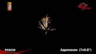 PC 6230 Адреналин