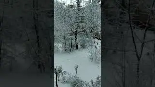 Stamattina a Korolëv. Video della mia zia Tatiana.