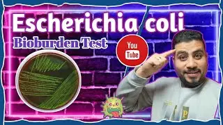 Escherichia coli detection in Non sterile pharmaceutical products..?! Bioburden Test..