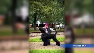 Хендлинг РЧТ щенка * Pups BRT handling * www.adam-brt.ru