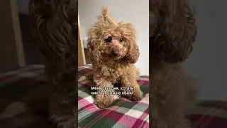 никто не обнял