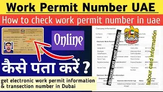 Work permit number UAE | How to check work permit number in uae