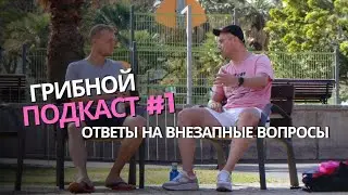 ГРИБНОЙ ОПЫТ, ОСОЗНАННЫЕ СНОВИДЕНИЯ | ПОДКАСТ #1