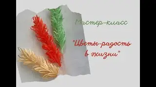 Цветы  радость жизни